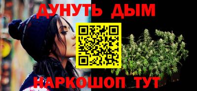 Альфа ПВП Моздок