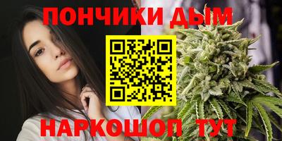 Альфа ПВП Моздок