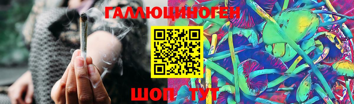 Псилоцибиновые грибы GOLDEN TEACHER  купить  сайты  Пугачёв  Вход с VPN 